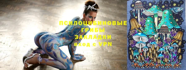 ГАЛЛЮЦИНОГЕННЫЕ ГРИБЫ Абдулино