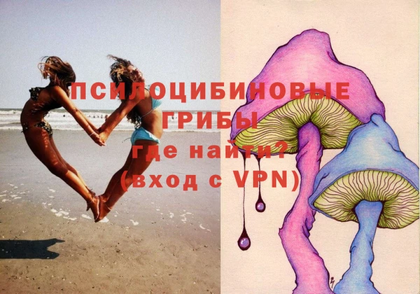 ГАЛЛЮЦИНОГЕННЫЕ ГРИБЫ Абдулино