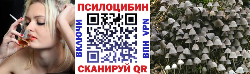 Псилоцибиновые грибы прущие грибы цены Хадыженск